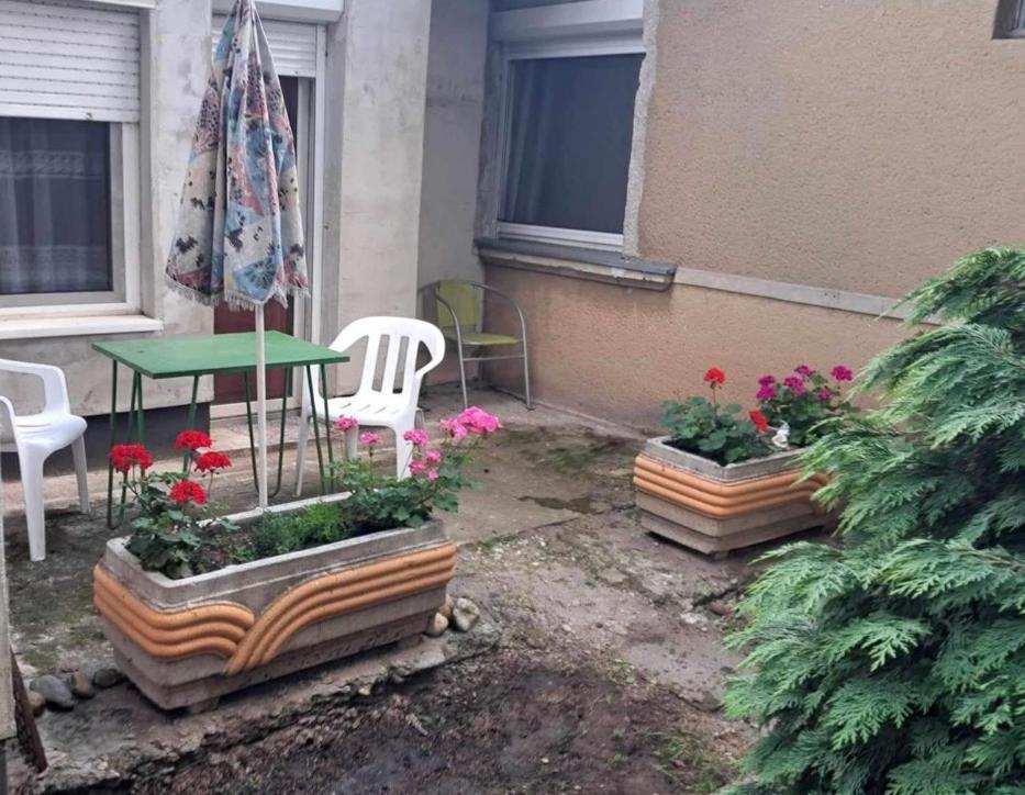 2 Rooms Retro Guesthouse In A Silent Garden Вечеш Экстерьер фото