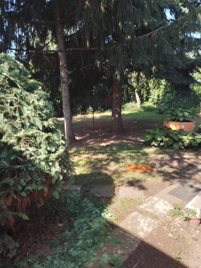 2 Rooms Retro Guesthouse In A Silent Garden Вечеш Экстерьер фото
